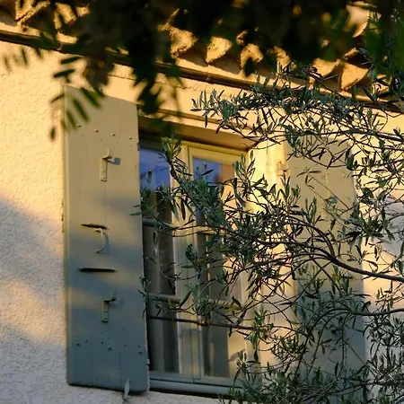 לינה וארוחת בוקר Domaine Le Bois Des Dames 4*